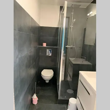 Studio A Proximite De La Gare Annemasse 아파트 안마스